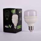 Lâmpada LED Bulbo 30W Fria - Branco Frio