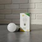 Lâmpada Led Bulbo Luz Sollar A55 Bivolt 6500k