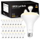 Lâmpada LED Dalattin BR30 9W 800lm 4000K regulável, pacote com 24