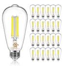 Lâmpada LED DAYBETTER Vintage Edison E26 9W 5000K 800lm, pacote com 24 Lâmpada LED DAYBETTER Vintage Edison E26 9W 5000K 800lm, pacote com 24