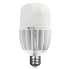 Lâmpada Led de Alta Potência 40W Bivolt - FOXLUX