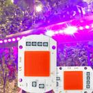 Lâmpada LED De Crescimento De Espectro Completo Com Chip COB 110V 220V Sem Driver Para Plantas Lâmpada LED De Crescimento De Espectro Completo Com Chip COB 110V 220V Sem Driver Para Plantas