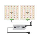 Lâmpada LED De Crescimento De Plantas De Espectro Completo 85W 180W LM281B+ pro Para Estufas E Lâmpada LED De Crescimento De Plantas De Espectro Completo 85W 180W LM281B+ pro Para Estufas E