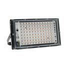 Lâmpada LED De Cultivo De Plantas De Espectro Completo 50W 100W 200W 300W Para Cultivo Interno