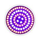 Lâmpada LED De Espectro Completo Para Cultivo 2 Peças E27 E14 GU10 MR16 PhytoLamp Para Plantas