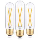 Lâmpada LED EQ Lighting Dimmable T10 2W 2700K E26 200LM, pacote com 3