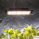 Lâmpada LED Inteligente De Crescimento De Plantas De Espectro Completo 50W Com Interruptor De Dimmer Lâmpada LED Inteligente De Crescimento De Plantas De Espectro Completo 50W Com Interruptor De Dimmer
