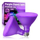 Lâmpada LED LOXYEE PAR38 Flood Purple 20W, pacote com 2 unidades, regulável