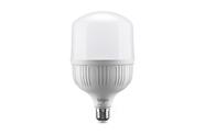 Lâmpada Led Rgb Bulbo 30w Inteligente Smart Wi-fi Wifi Elgin
