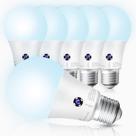 Lâmpada LED Sengled Dusk to Dawn 5000K Daylight A19 10,5 W, pacote com 6 Lâmpada LED Sengled Dusk to Dawn 5000K Daylight A19 10,5 W, pacote com 6