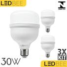 Lâmpada Led Super Bulbo Alta Potência E27 Bivolt Branco Frio 30w - LedBee - kit com 3 unidades