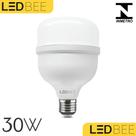 Lâmpada Led Super Bulbo Alta Potência E27 Bivolt Branco Frio 30w - LedBee