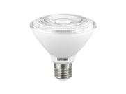 Lampada Led Taschibra Par 30 6500K Lampada Led Taschibra Par 30 6500K