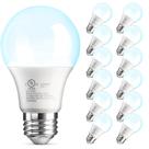 Lâmpada LED TJOY A19 9W 800LM 5000K E26 120V Pacote com 12 Lâmpada LED TJOY A19 9W 800LM 5000K E26 120V Pacote com 12