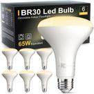 Lâmpada LED TJOY BR30 9W 800lm 2700K regulável, pacote com 6 Lâmpada LED TJOY BR30 9W 800lm 2700K regulável, pacote com 6