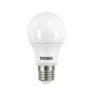 Lâmpada LED TKL 60 9W Bulbo 6500K Taschibra Lâmpada LED TKL 60 9W Bulbo 6500K Taschibra