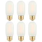Lâmpada LED TOKCON Frosted T45 Vintage E26 4W 2700K, pacote com 6 Lâmpada LED TOKCON Frosted T45 Vintage E26 4W 2700K, pacote com 6