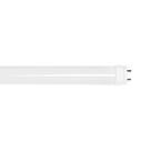 Lâmpada Led Tubular T8 Vidro 9W 910 Lumens Branco Frio 6500K Bivolt BR900-B - Avant 335511374