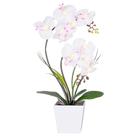 Lâmpada Orchid Lamp HOMESEASONS Homeseasons Arranjo iluminado LED