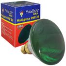 Lâmpada Par Colorida PAR38 100w 127v E27 Verde
