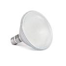 Lâmpada PAR30 Led 2w 4000k 127v E27 Branco Neutro LLum