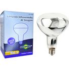 Lampada Para Secagem Infra Vermelho Brasfort 250Wx220V.