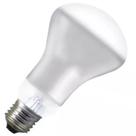 Lâmpada para Spot R63 40 Watts 127 Volts - 8547 - BRASFORT Lâmpada para Spot R63 40 Watts 127 Volts - 8547 - BRASFORT