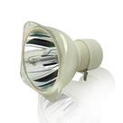 Lampada projetor optoma s313/w313/x313/x302/ds330/br303/br3024/br327/br332/ds328/ds343/dw343/dx328/dx343/dx343/h100 Lampada projetor optoma s313/w313/x313/x302/ds330/br303/br3024/br327/br332/ds328/ds343/dw343/dx328/dx343/dx343/h100