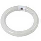 Lampada Refil Circular 22w 6400k