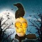 Lâmpada solar de Halloween QH e caveira de jardim com corvo preto