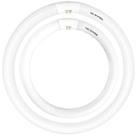 Lâmpadas Circline Celiwace FC16T9/CW 40W e FC12T9/CW 32W