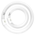 Lâmpadas circulares Celiwace FC8T9/CW 22W e FC12T9/CW 32W