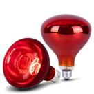 Lâmpadas de calor Wesome Lighting 250W para garotas (pacote com 2)
