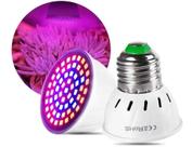 Lâmpadas De Led Para Ajudar As Plantas Cresce - Hidropônica