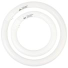 Lâmpadas fluorescentes CHKADAWA FC8T9/KB 22W e FC12T9/KB 32W