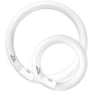 Lâmpadas fluorescentes Konideke FC12T9/WW 32W e FC8T9/KB 22W