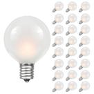 Lâmpadas Globo ao ar livre Novelty Lights G40 Frosted White x25