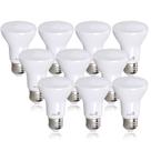 Lâmpadas LED Bioluz LED BR20 6W = 50W 2700K 540lm, pacote com 10