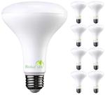 Lâmpadas LED Bioluz LED BR30 7,5 W 5000 K Daylight 650 lm, pacote com 8