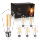Lâmpadas LED BORT Edison 6W 700lm 2700K E26 reguláveis, pacote com 6