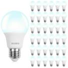 Lâmpadas LED BUBO A19 5W 40W equivalentes a 5000K 550lm 36 unidades