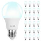 Lâmpadas LED BUBO A19 8W (equivalente a 60W) 5000K E26, pacote com 24