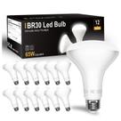 Lâmpadas LED DAYBETTER BR30 9W 800LM 5000K reguláveis, pacote com 12