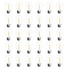 Lâmpadas LED de corda Jslinter, pacote com 30 unidades, 1W E26 2200K, branco quente
