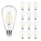 Lâmpadas LED Edison WinSaled 2W ST19 4000K Cool White 250LM 12Pk