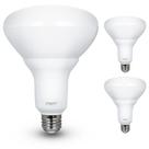 Lâmpadas LED Feit Electric BR40 reguláveis 13 W 850 lm 5000 K, pacote com 2