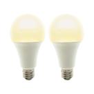 Lâmpadas LED Para Cultivo De Plantas Internas A70 11W Espectro Completo 2/4 Unidades Lâmpada Para