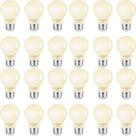 Lâmpadas LED Sigalux A19 Vintage Frosted All Glass Lâmpadas LED Sigalux A19 Vintage Frosted All Glass