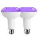 Lâmpadas pretas GOHDLAMP BR30 UV 18W 385-400nm Comprimento de onda