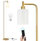 Lámpara de Pie Ziisee 164 cm Pantalla de Vidrio Dorada LED con Control Remoto